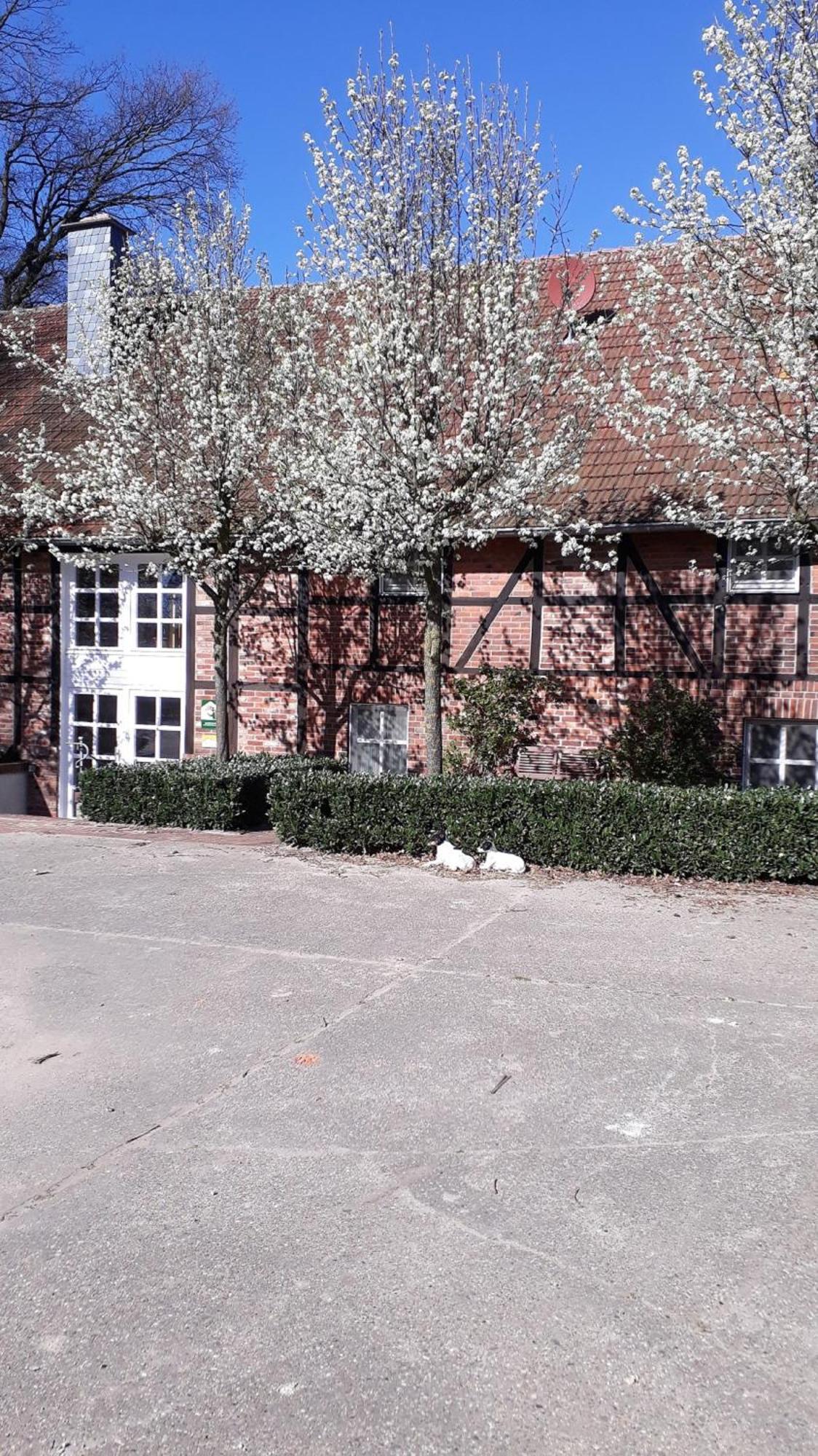 Landhaus Am Esch Warendorf Buitenkant foto