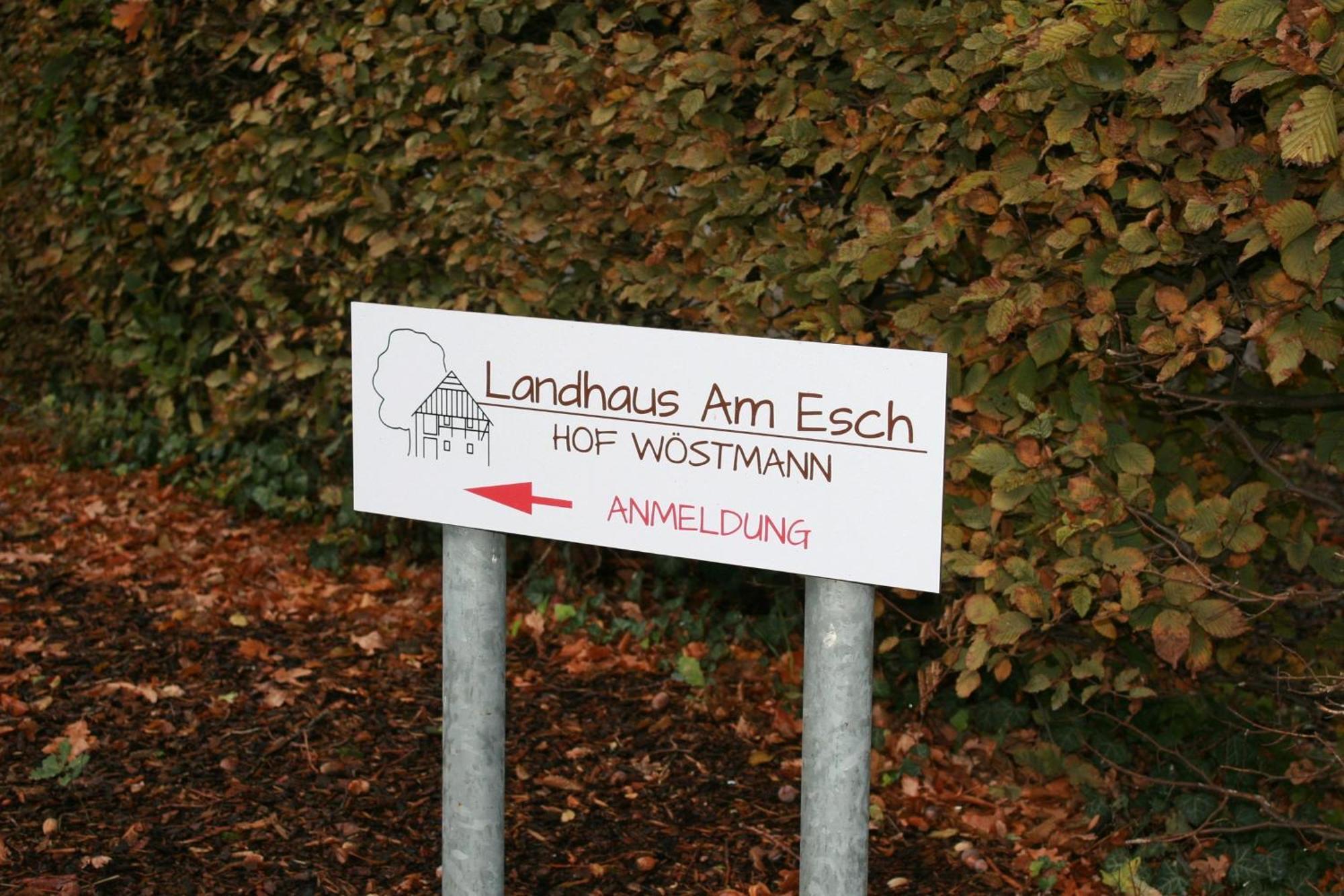 Landhaus Am Esch Warendorf Buitenkant foto